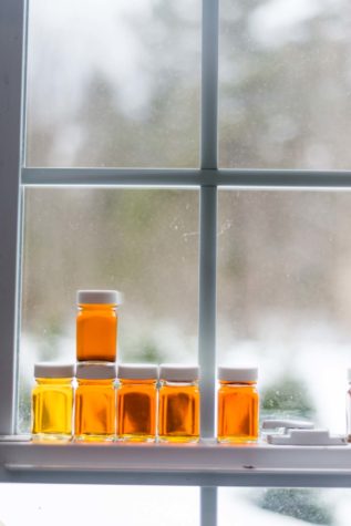 Tapping for Gold | Maine Maple Sunday | Maine magazine